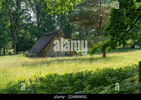 Charakteristischer Stall für deutsche Moorschafe mit Strohdach im Naturschutzgebiet Lüneburger Heide, deutschland Stockfoto