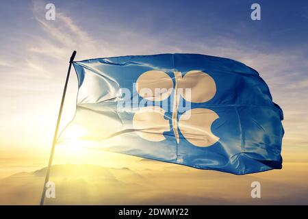 Organisation der Erdöl exportierenden Länder OPEC Flagge winken Die Spitze Stockfoto