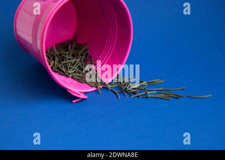 Fichtennadeln gießen aus einem rosa Deko-Eimer auf einem hellblauen Hintergrund. Naturpflegekonzept Stockfoto