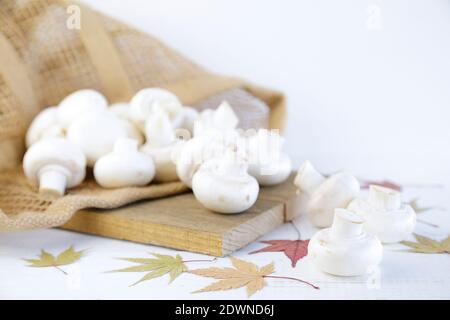 Frische Pilze auf Holzbrett Stockfoto