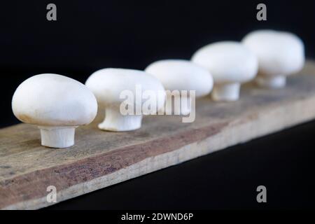 Frische Pilze auf Holzbrett vor schwarzem Hintergrund Stockfoto