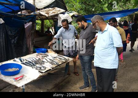 Kunden auf einem Fischmarkt in Cochin, Indien Stockfoto