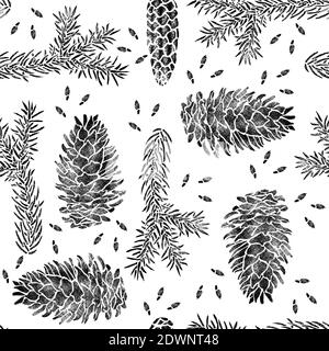 Fichte nahtloses Muster isoliert auf weiß. Picea Zweig, Kegel, Samen. Handgezeichnete botanische Illustration Stockfoto