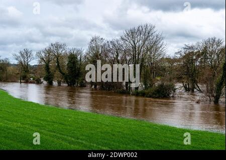 Caheragh, West Cork, Irland. Dezember 2020. Nach einer Nacht mit sintflutartigen Regenfällen platzte der Fluss Ilen heute Morgen in Caheragh, nahe Skibbereen, an seine Ufer und verursachte viele Bauernfelder zu überschwemmen. Quelle: AG News/Alamy Live News Stockfoto