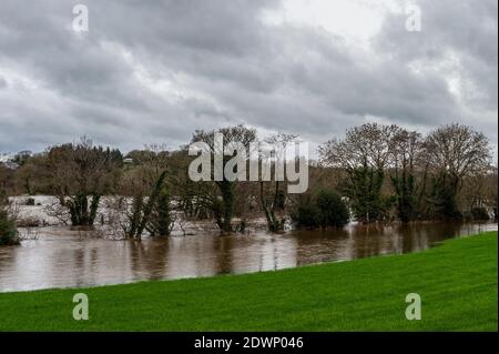 Caheragh, West Cork, Irland. Dezember 2020. Nach einer Nacht mit sintflutartigen Regenfällen platzte der Fluss Ilen heute Morgen in Caheragh, nahe Skibbereen, an seine Ufer und verursachte viele Bauernfelder zu überschwemmen. Quelle: AG News/Alamy Live News Stockfoto