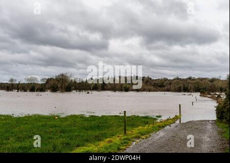 Caheragh, West Cork, Irland. Dezember 2020. Nach einer Nacht mit sintflutartigen Regenfällen platzte der Fluss Ilen heute Morgen in Caheragh, nahe Skibbereen, an seine Ufer und verursachte viele Bauernfelder zu überschwemmen. Quelle: AG News/Alamy Live News Stockfoto