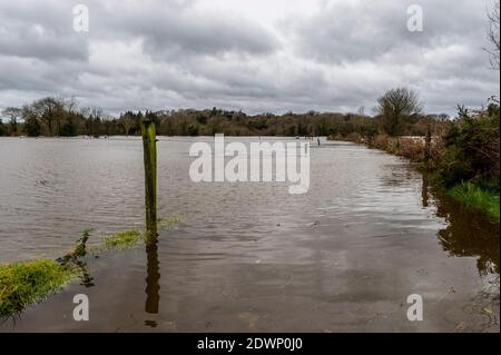 Caheragh, West Cork, Irland. Dezember 2020. Nach einer Nacht mit sintflutartigen Regenfällen platzte der Fluss Ilen heute Morgen in Caheragh, nahe Skibbereen, an seine Ufer und verursachte viele Bauernfelder zu überschwemmen. Quelle: AG News/Alamy Live News Stockfoto