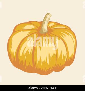 Orange Kürbis Vektor-Illustration. Herbst halloween Kürbis, Gemüse Grafik. Stock Vektor