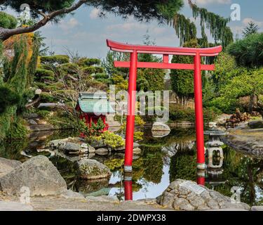 Japan in Tacoma - Schrein & Torii am Point Defiance Park, Tacoma, WA Stockfoto