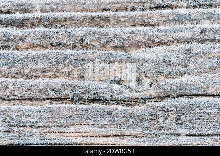 Der erste Frost auf einer gefrorenen, blassbraunen und kühlen, blauen Oberfläche aus wiedergewonnenen Kiefernholz mit alten Brettern aufgereiht. Schöner abstrakter gefrorener Mikrokosmos Stockfoto