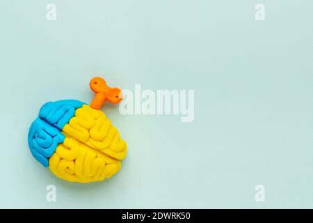 Ideenkonzept. Arbeit des Gehirns - Modell aus buntem Ton, Draufsicht Stockfoto