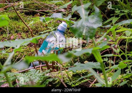 Weggeworfenes Plastikflasche Stockfoto