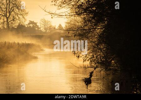 nebelige Winterszene am frühen Morgen am Trentham Gardens Lake Stoke in Trent staffordshire Stockfoto