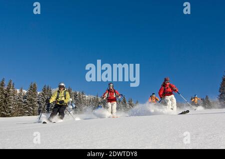 Eine Gruppe von Skifahrern, die die perfekten Pulverbedingungen genießen Stockfoto