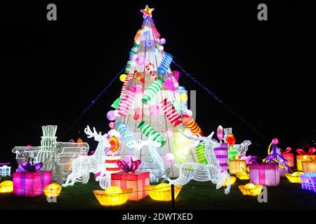 Beleuchtete farbenfrohe Weihnachtsbaumszene mit Geschenken, Leuchtlaternen beim Lightopia Festival 2020 im Heaton Park, Manchester Stockfoto