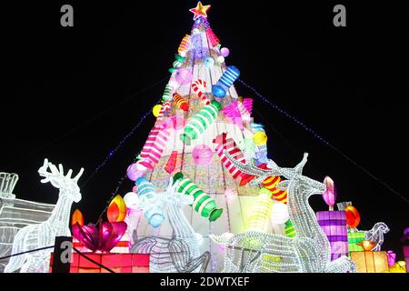 Beleuchtete farbenfrohe Weihnachtsbaumszene mit Geschenken, Leuchtlaternen beim Lightopia Festival 2020 im Heaton Park, Manchester Stockfoto