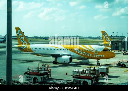 Airbus A320-232, Rufzeichen 9V-TAQ, gehört zu Scoot, einer preiswerten Tochtergesellschaft von Singapore Airlines, auf dem Asphalt am Changi Airport; Singapur, Asien Stockfoto