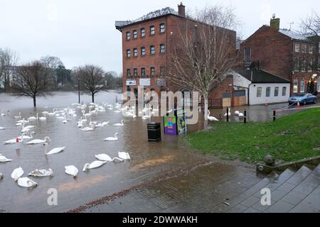 Worcester, Worcestershire, Großbritannien - Mittwoch, 23. Dezember 2020 - EIN Restaurant am Flussufer am Fluss Severn ist jetzt nach Tagen starker Regenfälle von Hochwasser umgeben. Ein großer Teil des Flusses Severn ist derzeit unter Hochwasserwarnung mit weiteren Regenvorhersagen. Foto Steven May / Alamy Live News Stockfoto