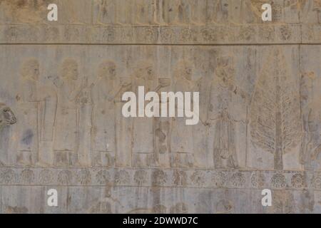 Bas Relief an der Ruinenwand in der Persepolis in Shiraz, Iran. Die zeremonielle Hauptstadt des Achämenidenreiches. UNESCO-Weltkulturerbe Stockfoto