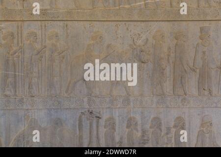 Bas Relief an der Ruinenwand in der Persepolis in Shiraz, Iran. Die zeremonielle Hauptstadt des Achämenidenreiches. UNESCO-Weltkulturerbe Stockfoto