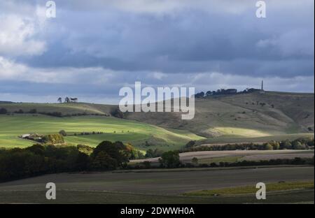 Blick vom Morgans Hill auf das Lansdowne Denkmal auf Cherhill Unten mit Sonne getuckt Downs, Wiltshire.UK Stockfoto
