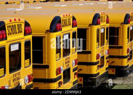 Ein Lagerhof voller neuer nordamerikanischer Gelber Schule Busse, Die Auf Die Lieferung An Kunden Warten Stockfoto