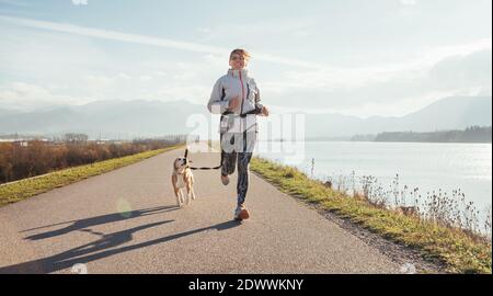 Morgendliches Joggen mit einem Haustier: Eine Hündin, die mit ihrem Beagle-Hund auf dem Asphaltweg entlang des Sees mit einer nebligen Berglandschaft läuft. Canicross-exe Stockfoto