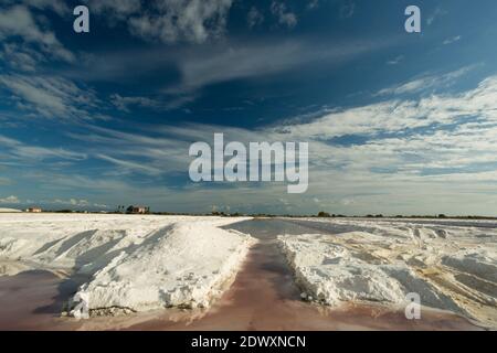 Naturschutzgebiet Saline Margherita di Savoia, Apulien, Italien Stockfoto