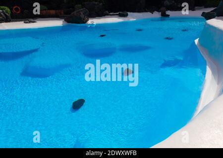 Intensiver blauer Swimmingpool mit vulkanischem Gestein auf dem Boden bei Lanzarote Wahrzeichen. Touristenattraktion, Integration der Natur in Architekturkonzepte Stockfoto