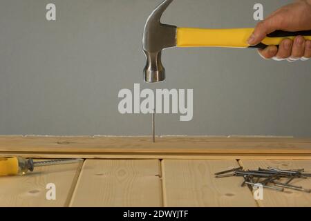 Hammer Schlägt Nagel Auf Den Kopf. DIY. Zimmermannshand mit Hammerholz und Nagel. Mit Hammer auf Holz Hintergrund. Werkzeuge für Hausreparatur. Reparieren Sie das Haus. Stockfoto