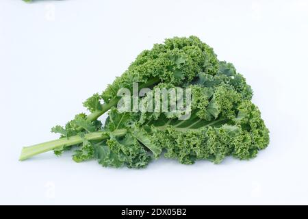 Grünkohl isolierter Ausschnitt auf weißem Hintergrund. Lockige Grünkohl-Blätter isoliert auf weißem Hintergrund. Brassica oleracea 'Zwerggrün gelockt'. UK Stockfoto