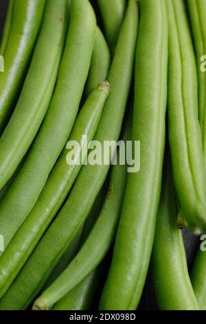 Phaseolus vulgaris 'Mamba' französische Kletterbohne. VEREINIGTES KÖNIGREICH Stockfoto
