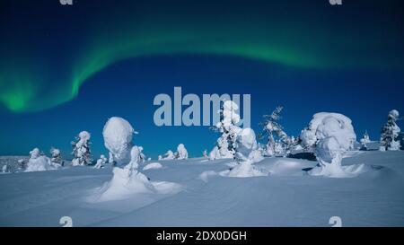 Spektakuläre Nordlichter, Aurora Borealis während einer kalten und eiskalten Winternacht über schneebedeckten Taiga-Wäldern, die von Vollmond in R beleuchtet werden Stockfoto