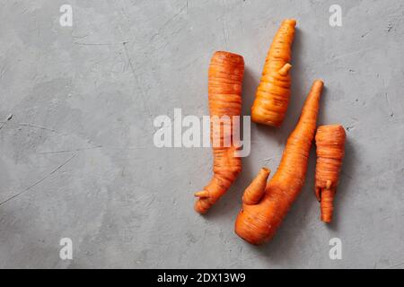 Lustige Monster Karotte trendy hässlich organisch zusammengefügt siamese Karotten aus heimischen Garten auf einem weißen Holzhintergrund.Hässliche Gemüse-oder Lebensmittelabfall-Konzept. Stockfoto