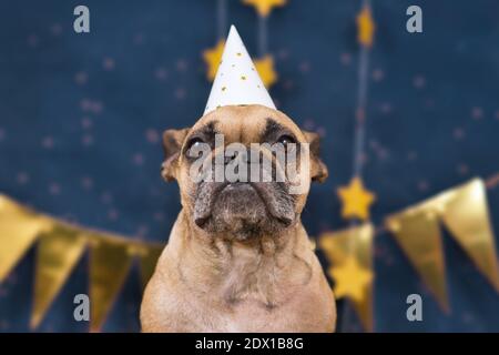 Französische Bulldogge Hund trägt Silvester Party Feier Hut Vor blauem Hintergrund mit goldenen Girlanden Stockfoto