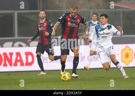 Bologna, Italien. Dezember 2020. Bolognas Danilo Larangeira beim italienischen Fußballspiel Serie A Bologna FC gegen Atalanta im Renato Dall'Ara Stadion in Bologna, Italien, 23. Dezember 2020. Ph. Michele Nucci /LM Kredit: Unabhängige Fotoagentur/Alamy Live Nachrichten Stockfoto