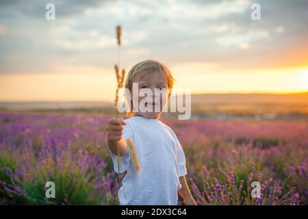 Kleiner Junge mit einem Grashalm in den Händen In einem Lavendelfeld auf einem Sonnenuntergang Hintergrund Stockfoto
