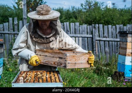 Imker in Schutzanzug inspiziert seine Reihe von Bienenstöcken an Bienenhaus mit Bienen schwärmen um ihn herum Stockfoto