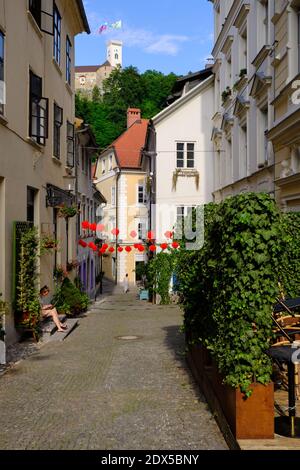 Kleine Fußgängerzone enge Straße mit Kopfsteinpflaster im Zentrum von Ljubljana, Slowenien Stockfoto