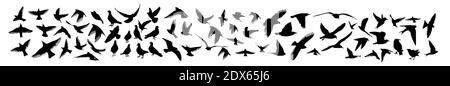 Eine Reihe von verschiedenen Vögeln. Taube, Sternzeichen, Nachtigall, Kolibri, Adler, Rabe, Mauersegler, Möwe, Schwalbe. Vektorgrafik Stock Vektor