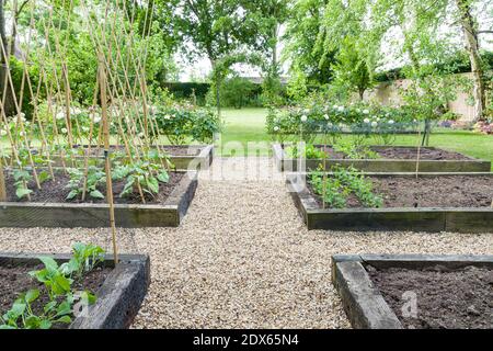 Kies (Schindel) Pfad oder Wege in einem Gemüsegarten mit Holz Hochbetten, in einem großen Garten in England, Großbritannien Stockfoto