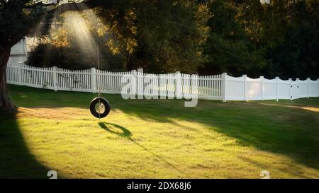 Die Morgensonne scheint auf einer Reifenschaukel, die an einem Baum in Castine, Maine hängt. Stockfoto