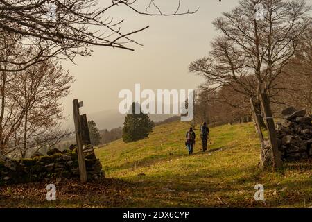 Zwei Wanderer auf dem Weg nach Chasseral, einem Gipfel im Schweizer Jura. Stockfoto