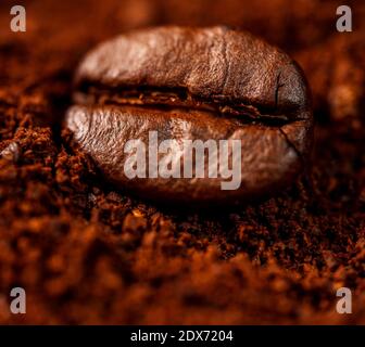 Makroansicht einer einzelnen Kaffeebohne und gemahlenem Kaffee. Stockfoto