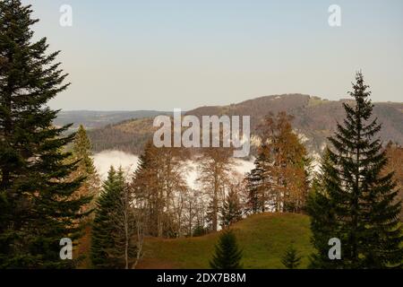 Blick vom Wanderweg nach Chasseral in ein Tal gefüllt Mit Nebel Stockfoto