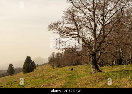 Blick entlang der Kette auf den Gipfel des Chasseral, einem Berg im Schweizer Jura Stockfoto