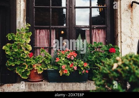 Vasen auf einer Fensterbank in Perouges, Frankreich Stockfoto