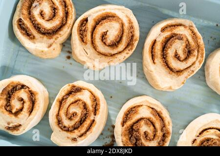 Ungebackene Zimtbrötchen in einer blauen Backform. Stockfoto