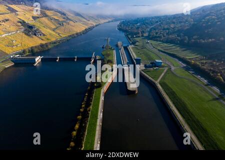 Luftaufnahme, Deutschland, Rheinland-Pfalz, Zeltingen - Rachtig, Mosel, Weinberge im Herbst Stockfoto