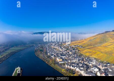 Luftaufnahme, Deutschland, Rheinland-Pfalz, Zeltingen - Rachtig, Mosel, Hochmoselbrücke über Fluss Mosel, Weinberge im Herbst, Stockfoto